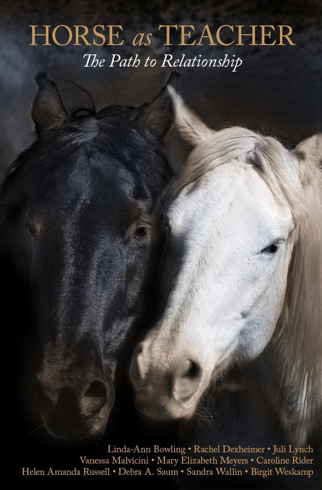 Horse as Teacher-The Path to Relationship